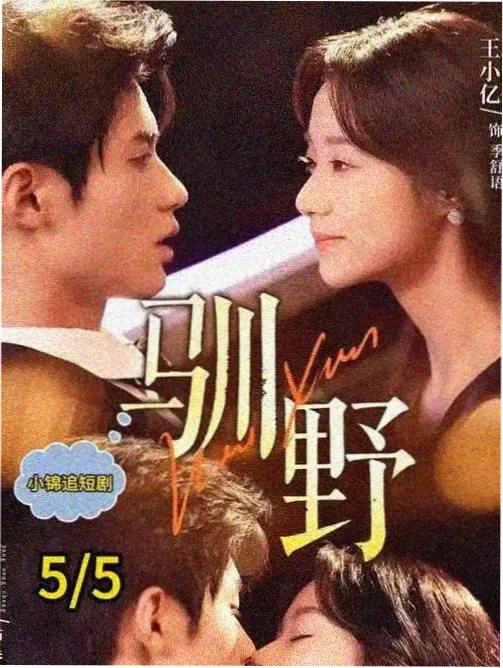 窝窝影院悬疑剧类型观察